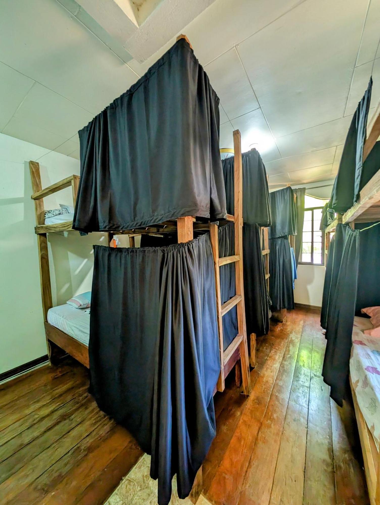 Screaming Gecko Hostel Air-Con Busuanga Exterior foto